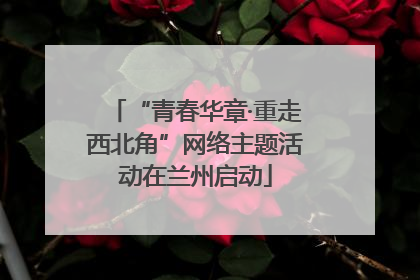 “青春华章·重走西北角”网络主题活动在兰州启动