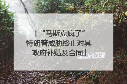 “马斯克疯了” 特朗普威胁终止对其政府补贴及合同