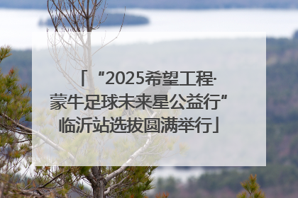 “2025希望工程·蒙牛足球未来星公益行”临沂站选拔圆满举行