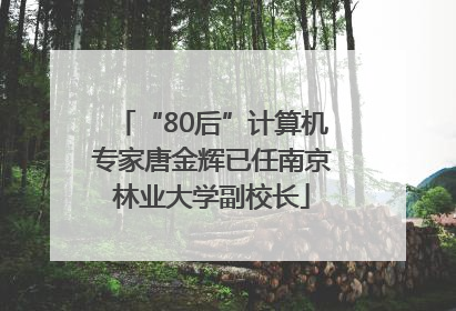 “80后”计算机专家唐金辉已任南京林业大学副校长