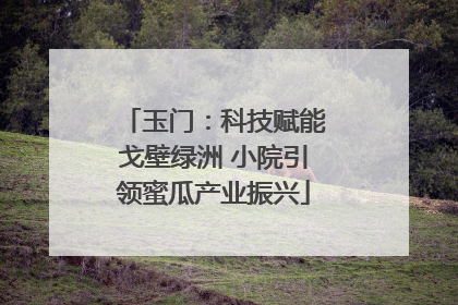 玉门：科技赋能戈壁绿洲 小院引领蜜瓜产业振兴
