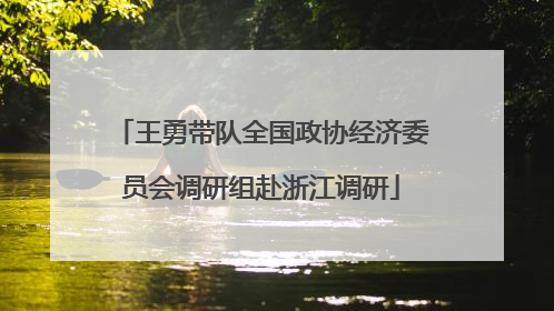 王勇带队全国政协经济委员会调研组赴浙江调研
