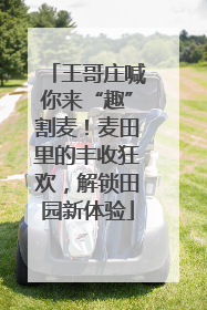 王哥庄喊你来“趣”割麦！麦田里的丰收狂欢，解锁田园新体验