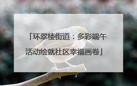 环翠楼街道：多彩端午活动绘就社区幸福画卷