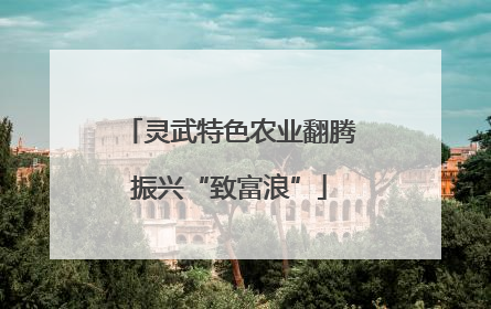灵武特色农业翻腾振兴“致富浪”