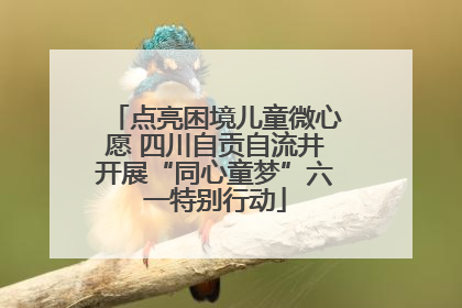 点亮困境儿童微心愿 四川自贡自流井开展“同心童梦”六一特别行动