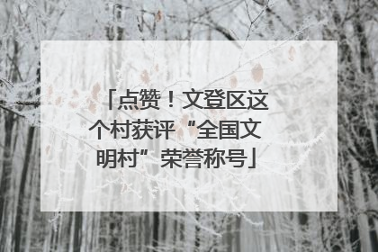 点赞！文登区这个村获评“全国文明村”荣誉称号