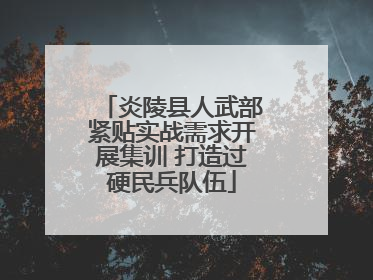 炎陵县人武部紧贴实战需求开展集训 打造过硬民兵队伍