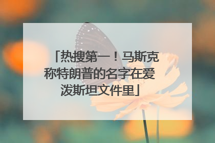 热搜第一！马斯克称特朗普的名字在爱泼斯坦文件里