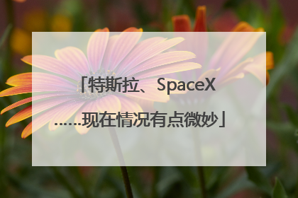 特斯拉、SpaceX……现在情况有点微妙
