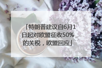 特朗普建议自6月1日起对欧盟征收50%的关税，欧盟回应