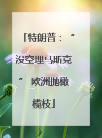 特朗普：“没空理马斯克” 欧洲抛橄榄枝