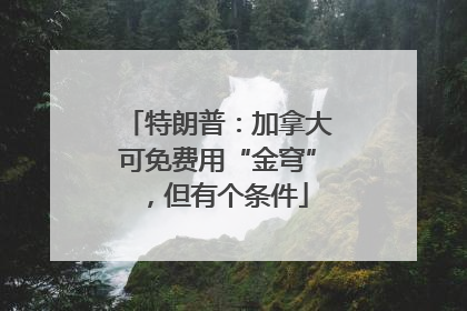 特朗普：加拿大可免费用“金穹”，但有个条件