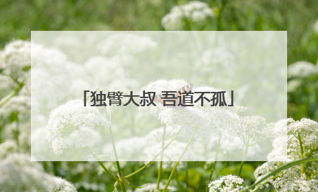 独臂大叔 吾道不孤