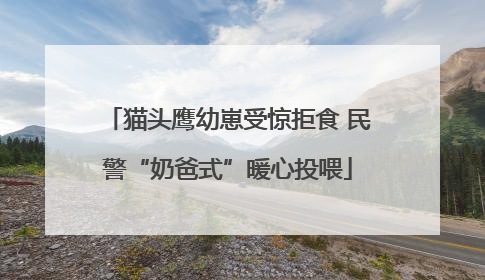 猫头鹰幼崽受惊拒食 民警“奶爸式”暖心投喂