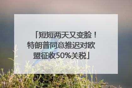 短短两天又变脸！特朗普同意推迟对欧盟征收50%关税