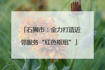 石狮市：全力打造近邻服务“红色枢纽”