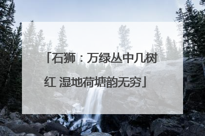 石狮：万绿丛中几树红 湿地荷塘韵无穷