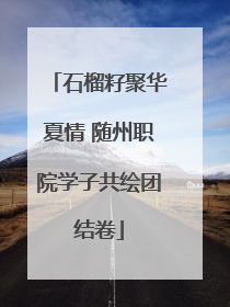 石榴籽聚华夏情 随州职院学子共绘团结卷