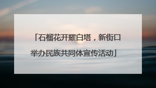 石榴花开耀白塔，新街口举办民族共同体宣传活动