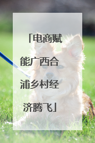 电商赋能广西合浦乡村经济腾飞