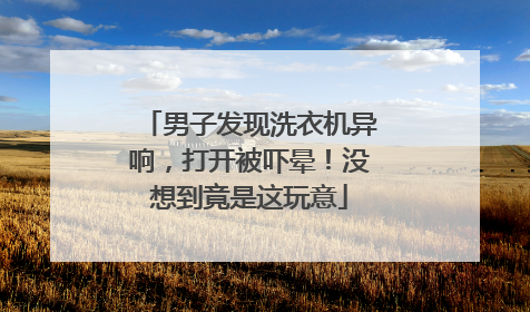 男子发现洗衣机异响，打开被吓晕！没想到竟是这玩意