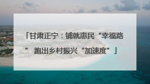 甘肃正宁：铺就惠民“幸福路” 跑出乡村振兴“加速度”