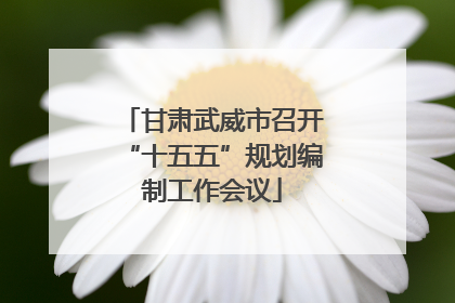甘肃武威市召开“十五五”规划编制工作会议