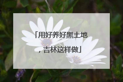 用好养好黑土地，吉林这样做
