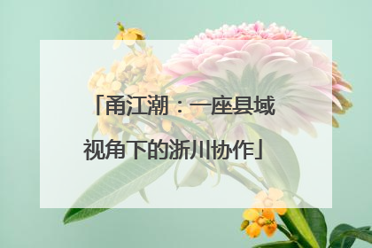 甬江潮：一座县域视角下的浙川协作