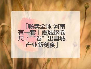 畅卖全球 河南有一套丨虞城钢卷尺：“卷”出县域产业新刻度