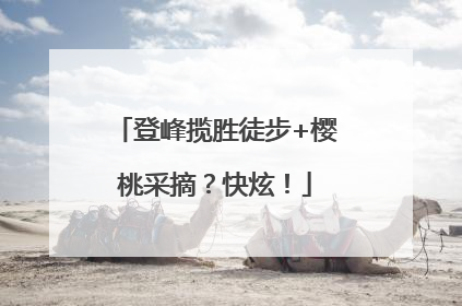 登峰揽胜徒步+樱桃采摘？快炫！
