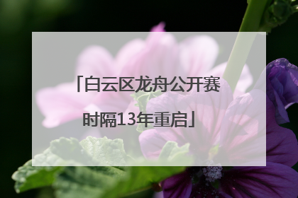 白云区龙舟公开赛时隔13年重启