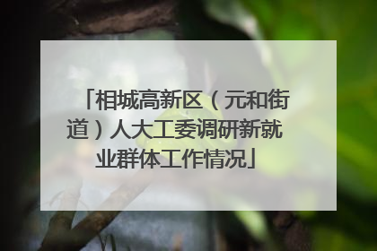 相城高新区（元和街道）人大工委调研新就业群体工作情况