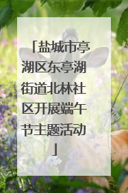 盐城市亭湖区东亭湖街道北林社区开展端午节主题活动