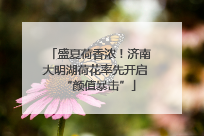 盛夏荷香浓！济南大明湖荷花率先开启“颜值暴击”
