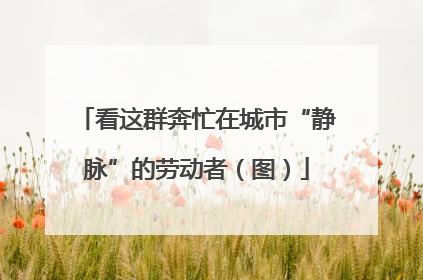 看这群奔忙在城市“静脉”的劳动者（图）
