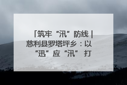 筑牢“汛”防线｜慈利县罗塔坪乡：以“迅”应“汛” 打赢暴雨防御战