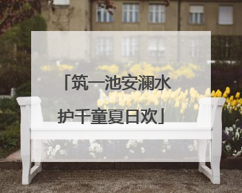 筑一池安澜水 护千童夏日欢