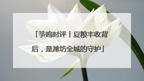 筝鸣时评丨夏粮丰收背后，是潍坊全城的守护