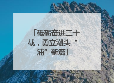 砥砺奋进三十载，勇立潮头“浦”新篇