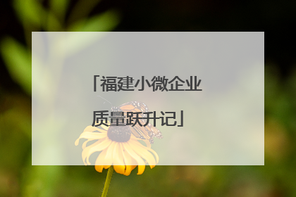 福建小微企业质量跃升记