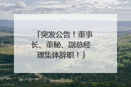 突发公告！董事长、董秘、副总经理集体辞职！