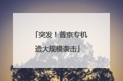 突发！普京专机遭大规模袭击