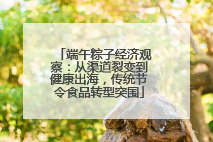 端午粽子经济观察：从渠道裂变到健康出海，传统节令食品转型突围