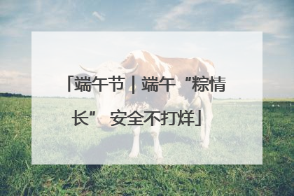 端午节｜端午“粽情长” 安全不打烊