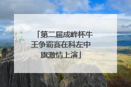 第二届成峰杯牛王争霸赛在科左中旗激情上演
