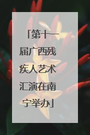 第十一届广西残疾人艺术汇演在南宁举办