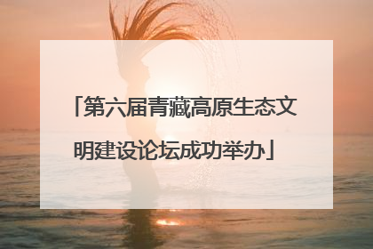第六届青藏高原生态文明建设论坛成功举办