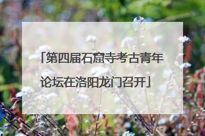 第四届石窟寺考古青年论坛在洛阳龙门召开